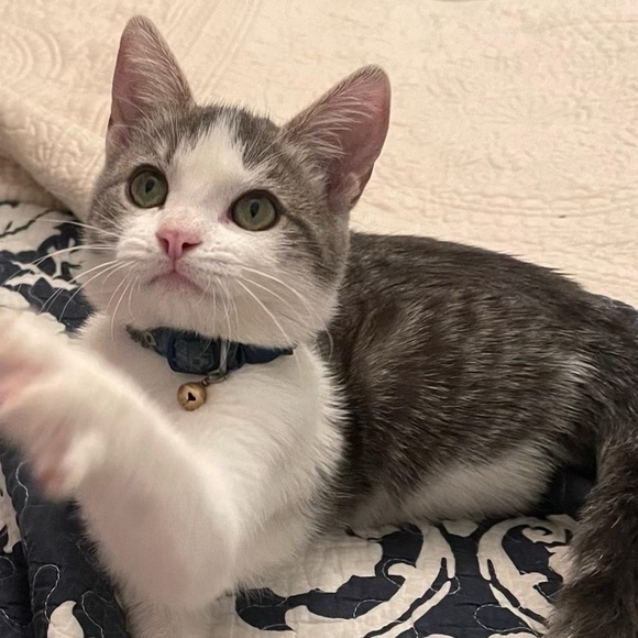 Meet your Posher, Paul - Picture 11 of 14